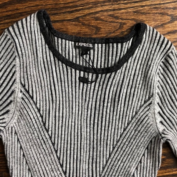 Express Knit Striped Dress - Picture 3 of 4